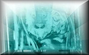 artistic edge, glass etching studio, Tampa FL, C. Ute Nmeth